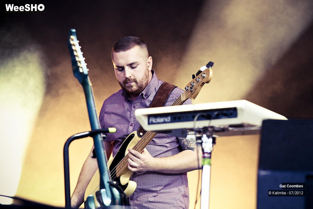 1/12 photos du spectacle Gaz Coombes