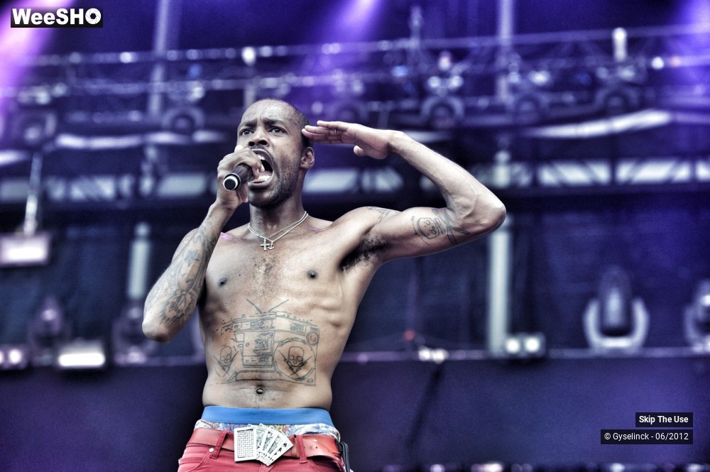 1/38 photos du spectacle Skip The Use