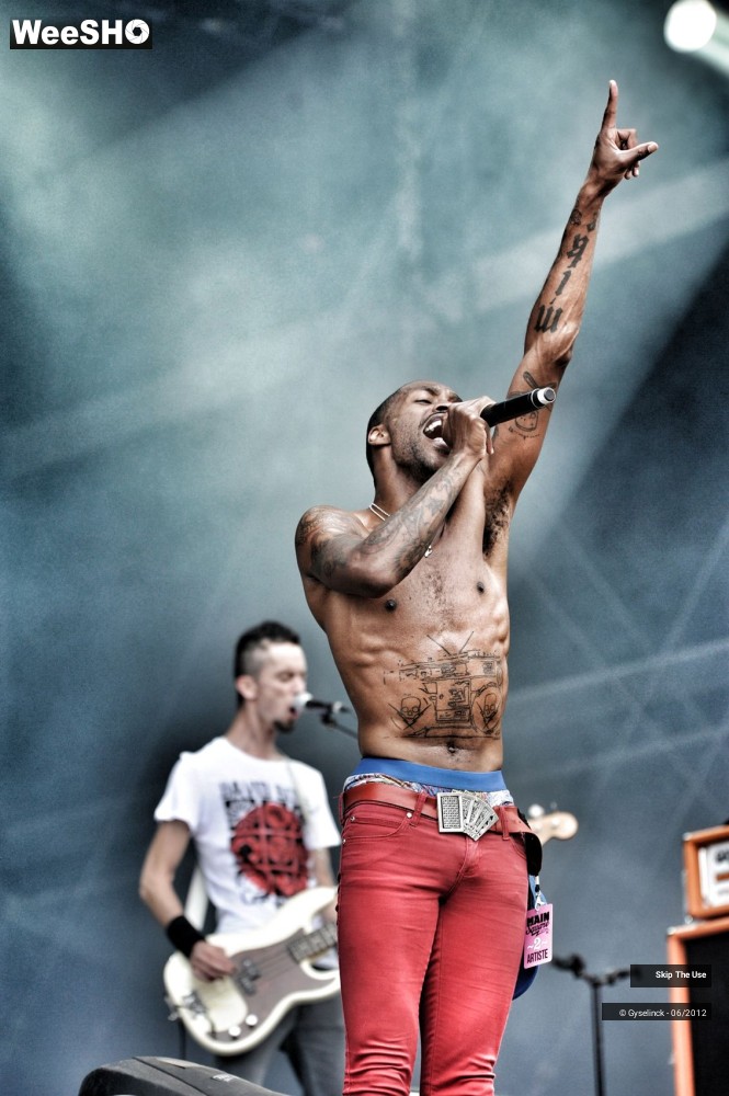 14/38 photos du spectacle Skip The Use