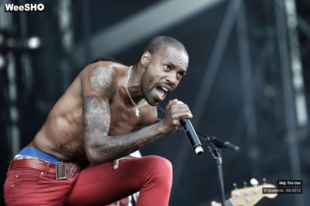 15/38 photos du spectacle Skip The Use