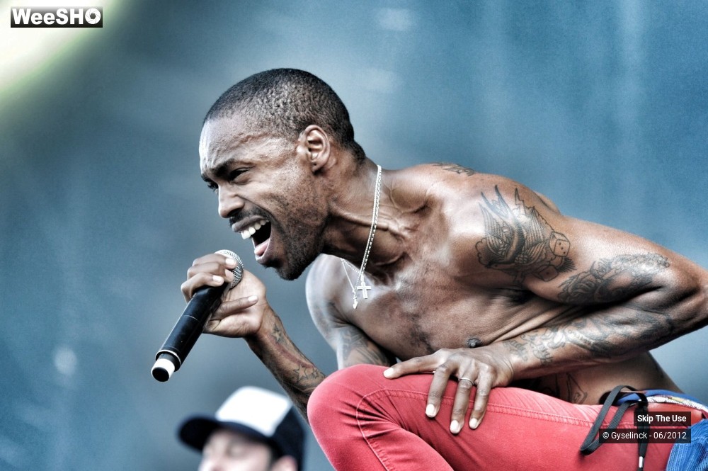 16/38 photos du spectacle Skip The Use