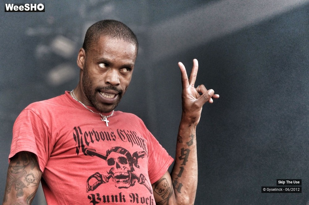 17/38 photos du spectacle Skip The Use