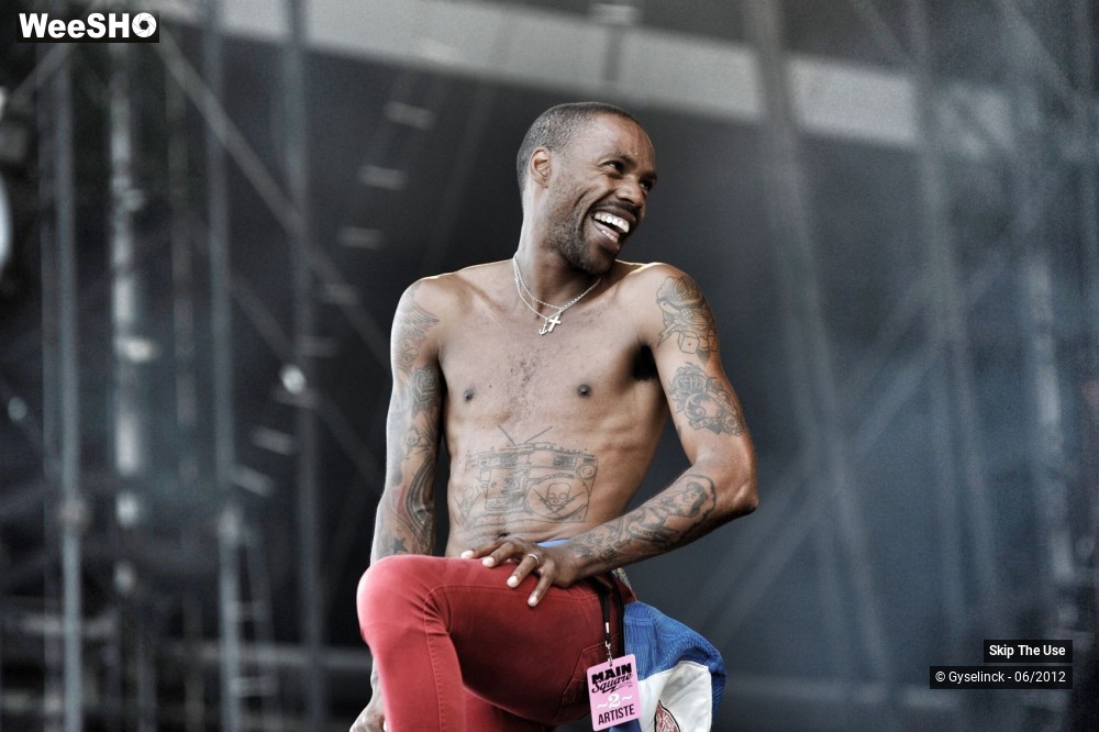 18/38 photos du spectacle Skip The Use