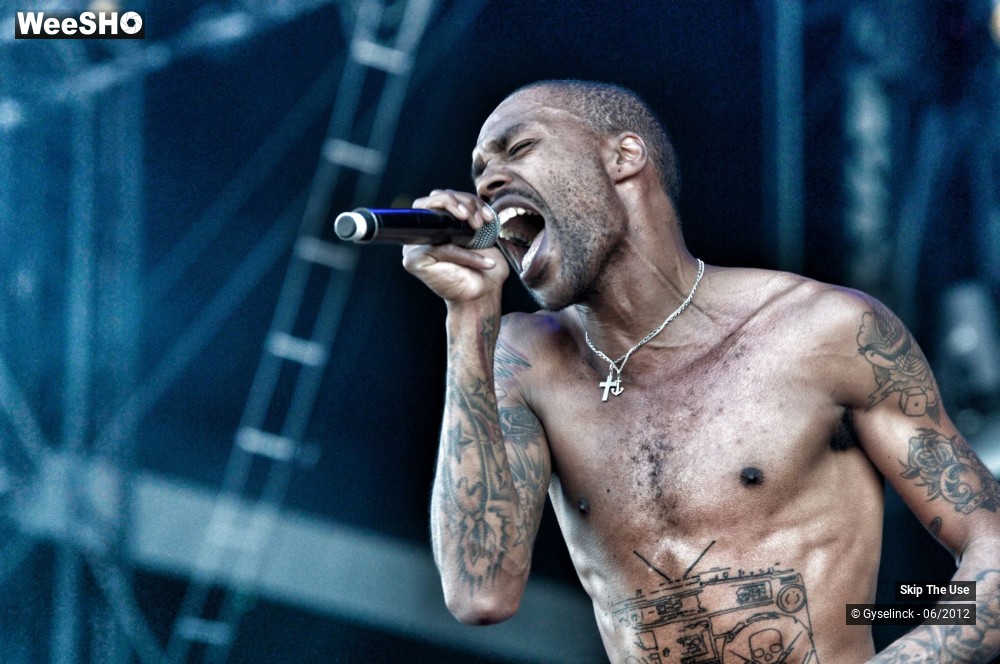 19/38 photos du spectacle Skip The Use