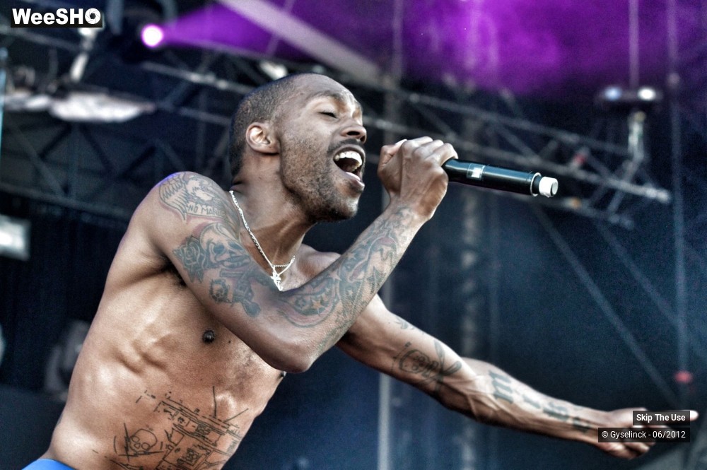 22/38 photos du spectacle Skip The Use