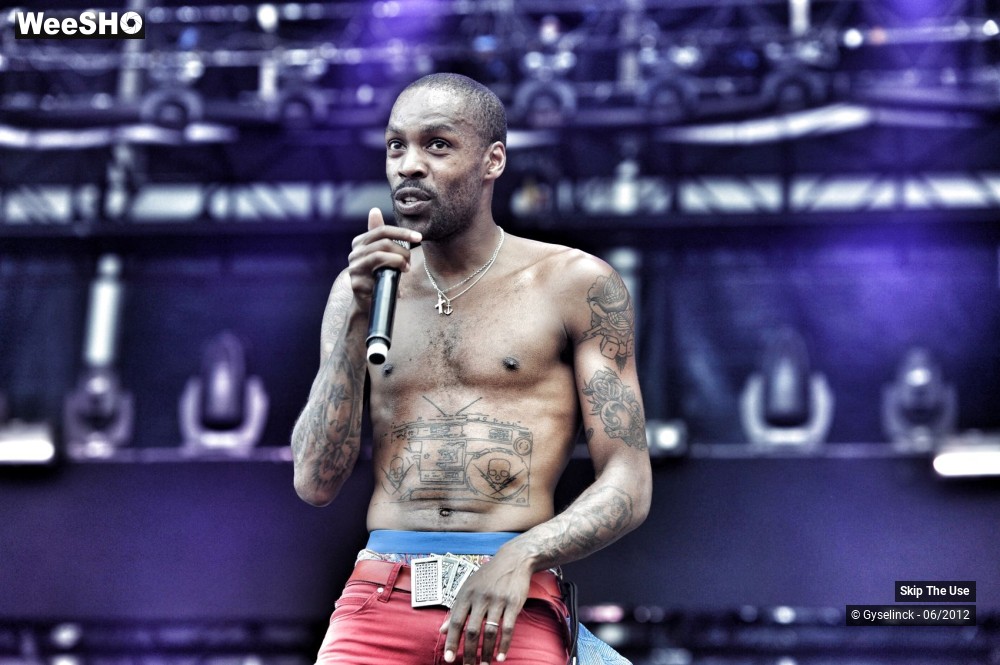 24/38 photos du spectacle Skip The Use