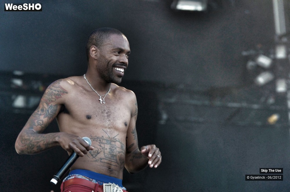 29/38 photos du spectacle Skip The Use