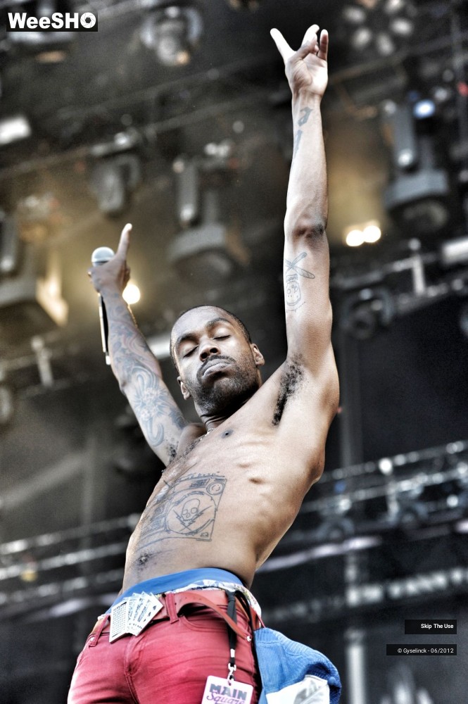 32/38 photos du spectacle Skip The Use