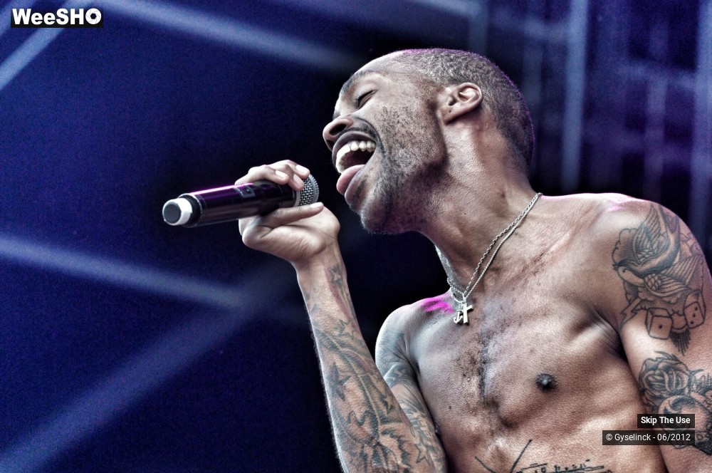 35/38 photos du spectacle Skip The Use