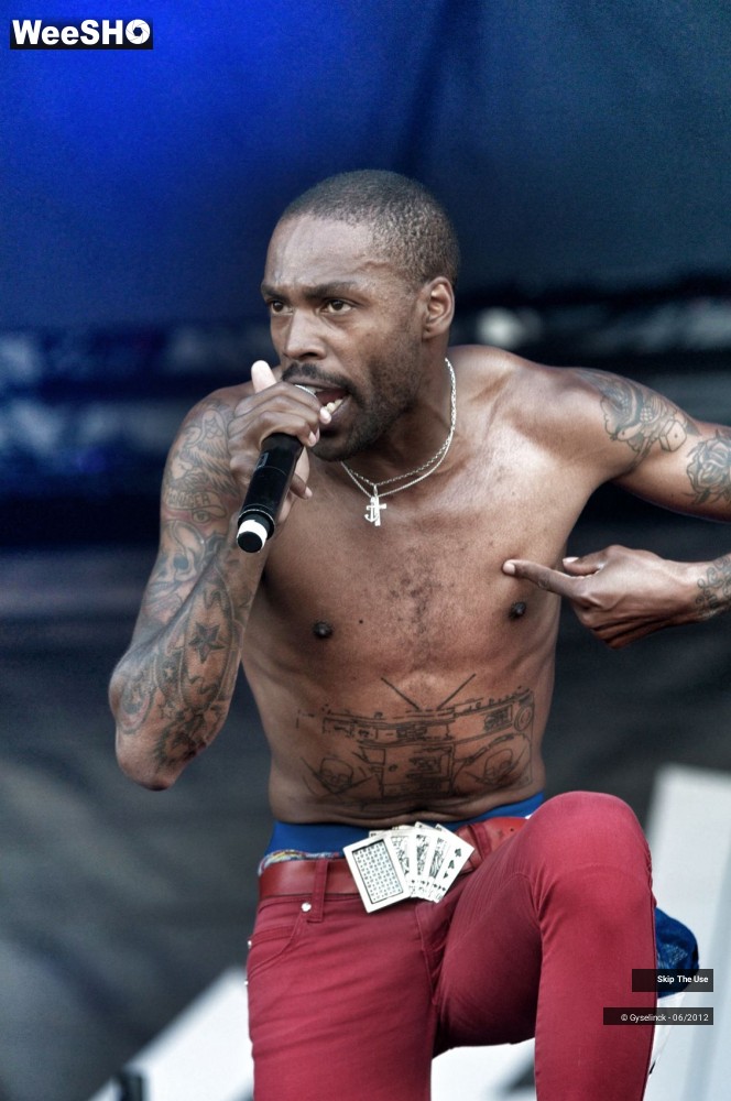 37/38 photos du spectacle Skip The Use