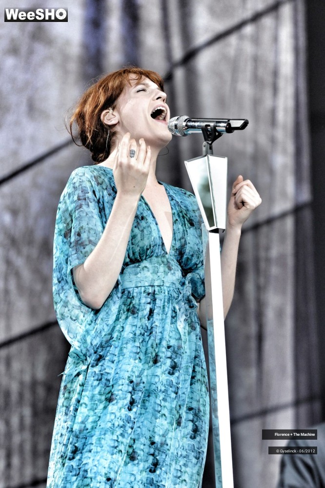 15/31 photos du spectacle Florence + The Machine