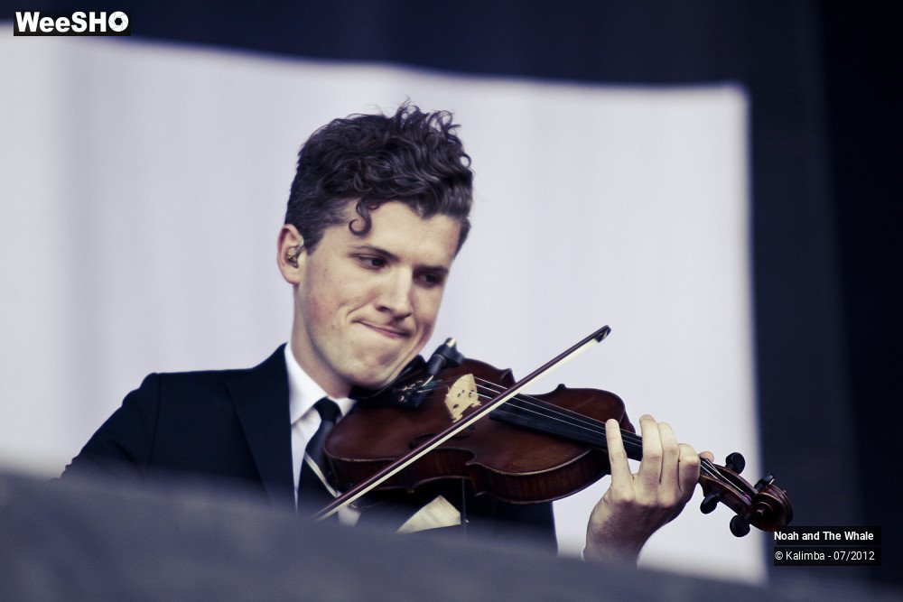 11/18 photos du spectacle Noah and The Whale