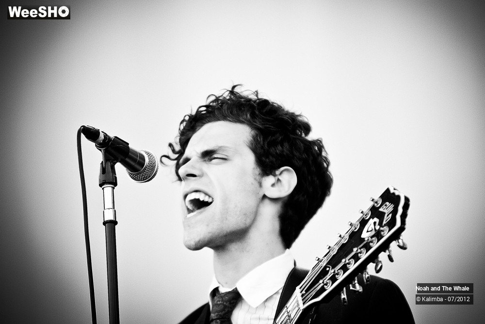 15/18 photos du spectacle Noah and The Whale