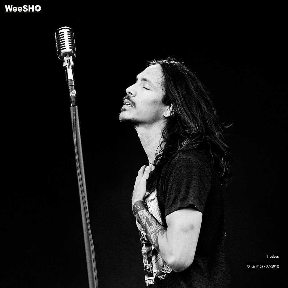 15/28 photos du spectacle Incubus