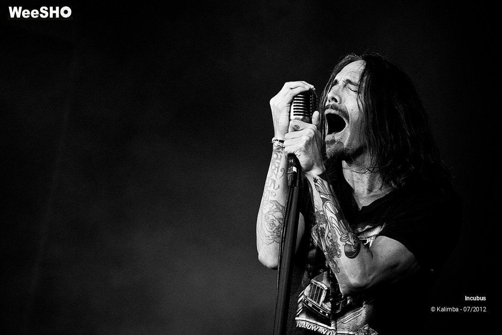 20/28 photos du spectacle Incubus