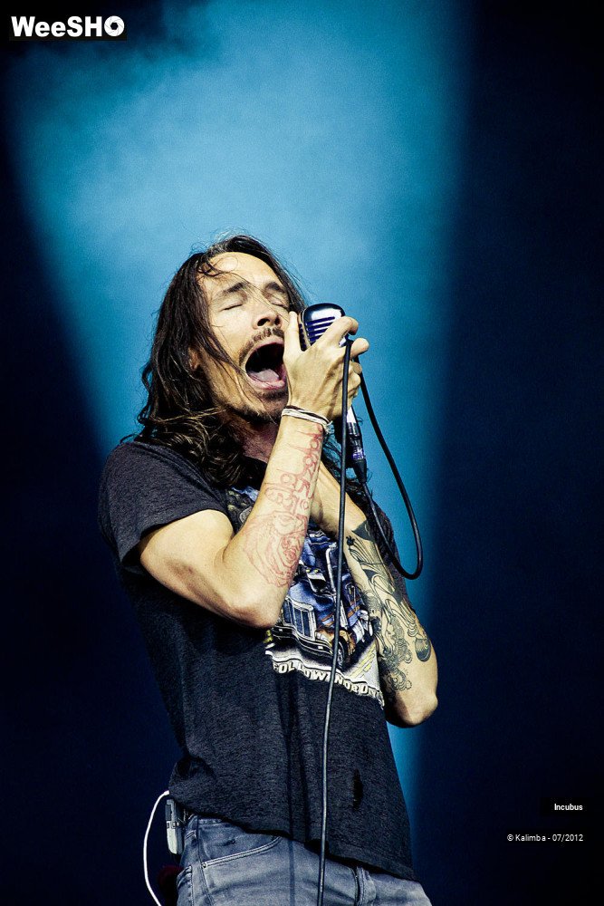 26/28 photos du spectacle Incubus