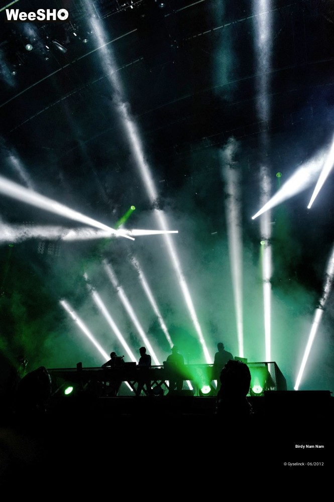 11/24 photos du spectacle Birdy Nam Nam