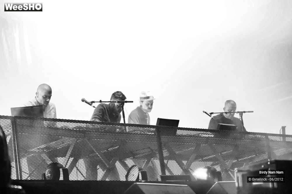 15/24 photos du spectacle Birdy Nam Nam