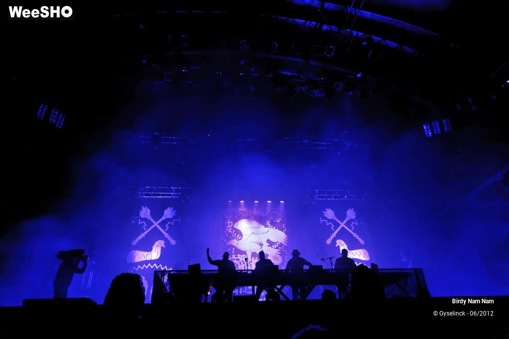 17/24 photos du spectacle Birdy Nam Nam