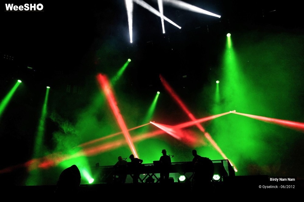 20/24 photos du spectacle Birdy Nam Nam