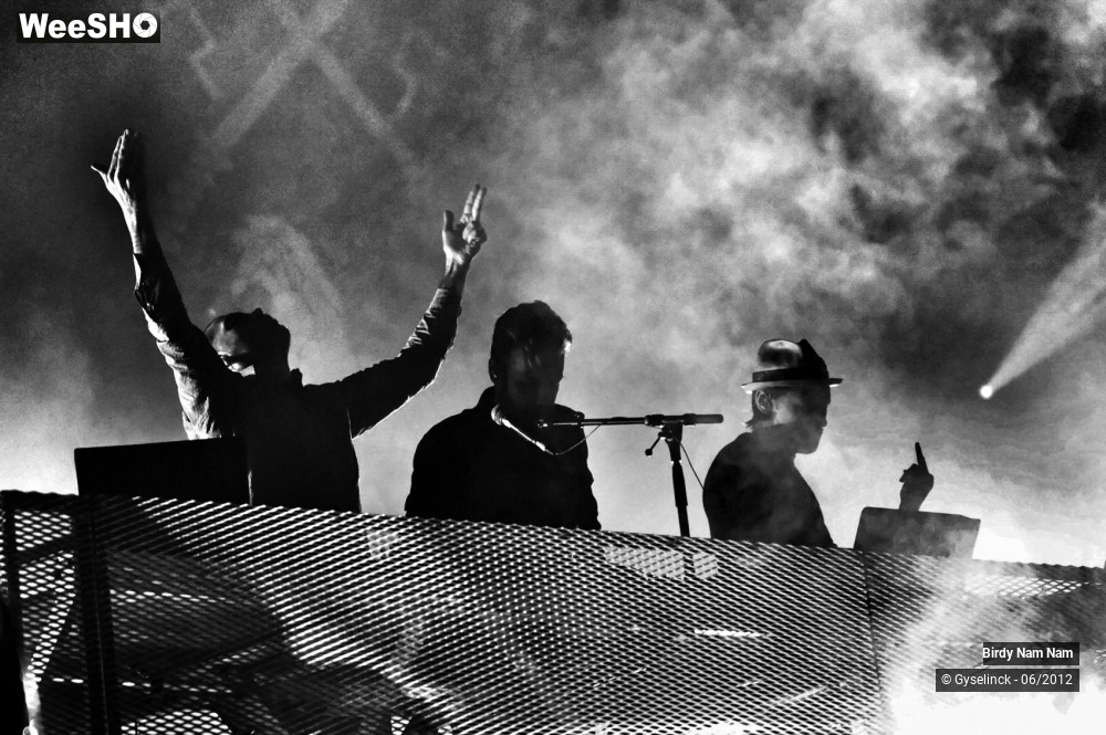 21/24 photos du spectacle Birdy Nam Nam