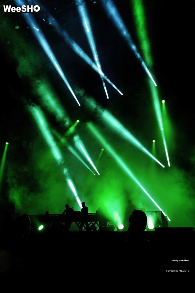 23/24 photos du spectacle Birdy Nam Nam