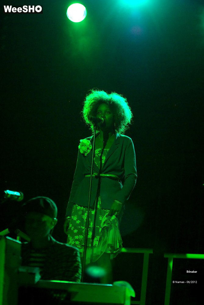 36/43 photos du spectacle Bénabar