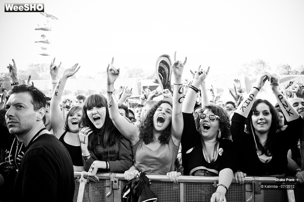 2/35 photos du spectacle Shaka Ponk