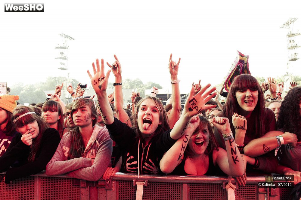 8/35 photos du spectacle Shaka Ponk