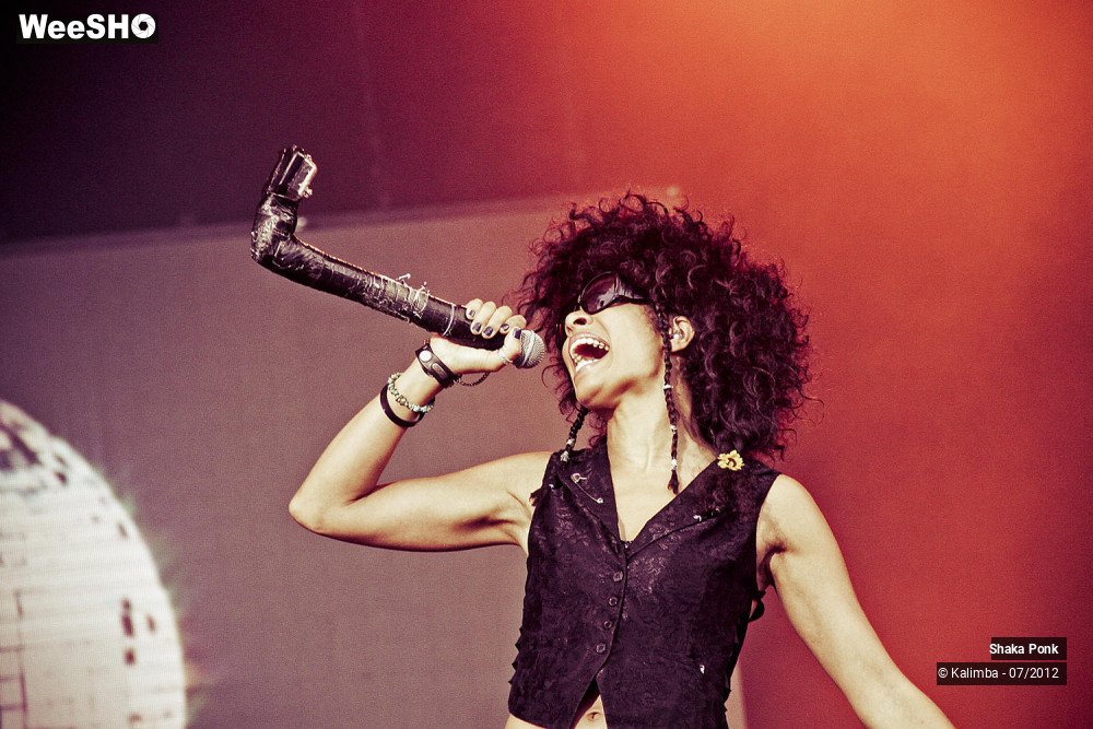 11/35 photos du spectacle Shaka Ponk