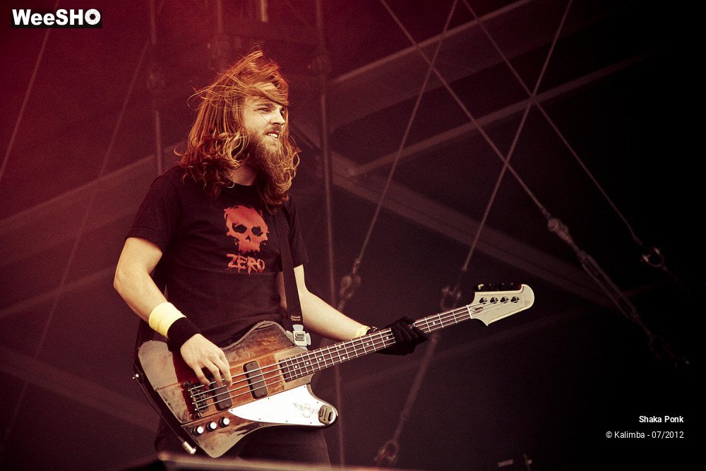 12/35 photos du spectacle Shaka Ponk