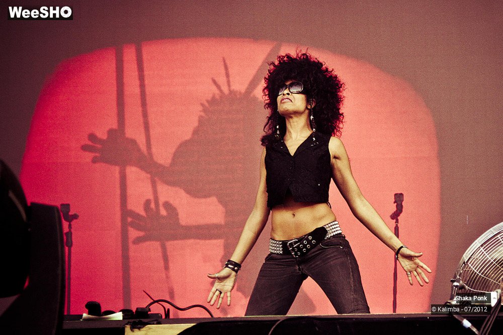 15/35 photos du spectacle Shaka Ponk