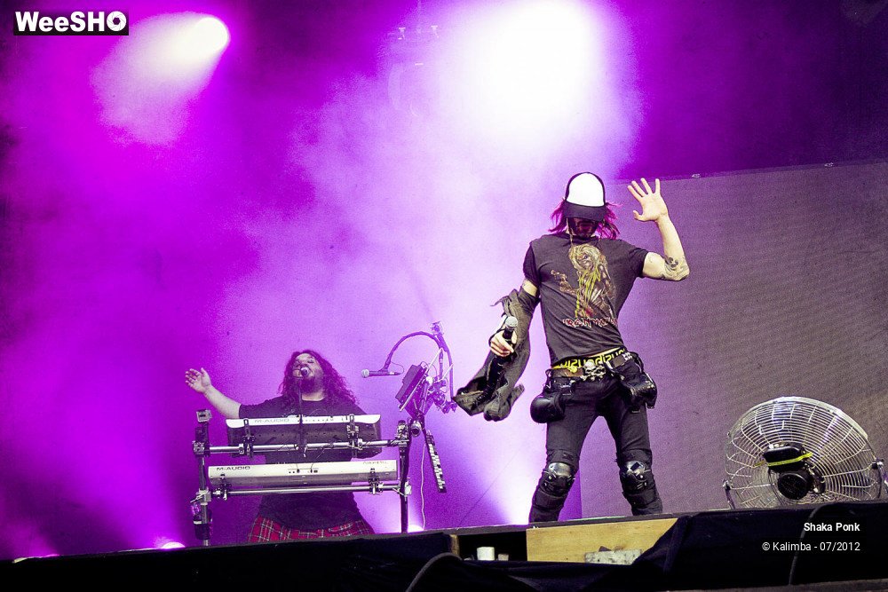 16/35 photos du spectacle Shaka Ponk