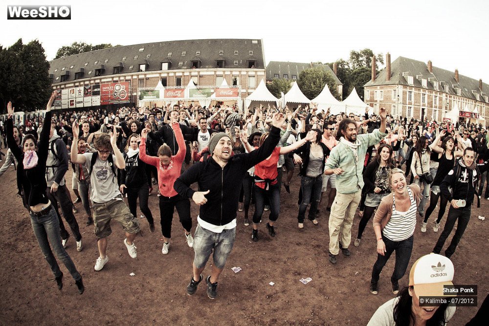 18/35 photos du spectacle Shaka Ponk