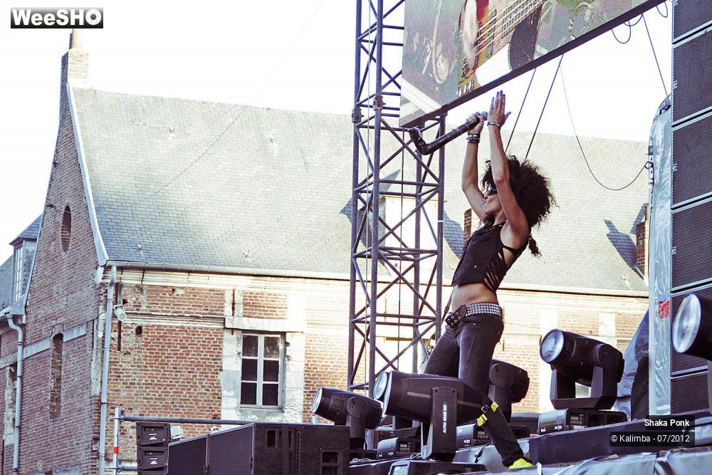 19/35 photos du spectacle Shaka Ponk