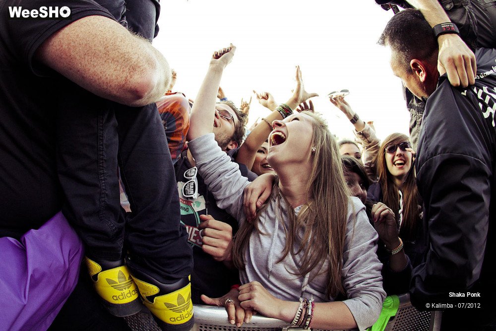 27/35 photos du spectacle Shaka Ponk