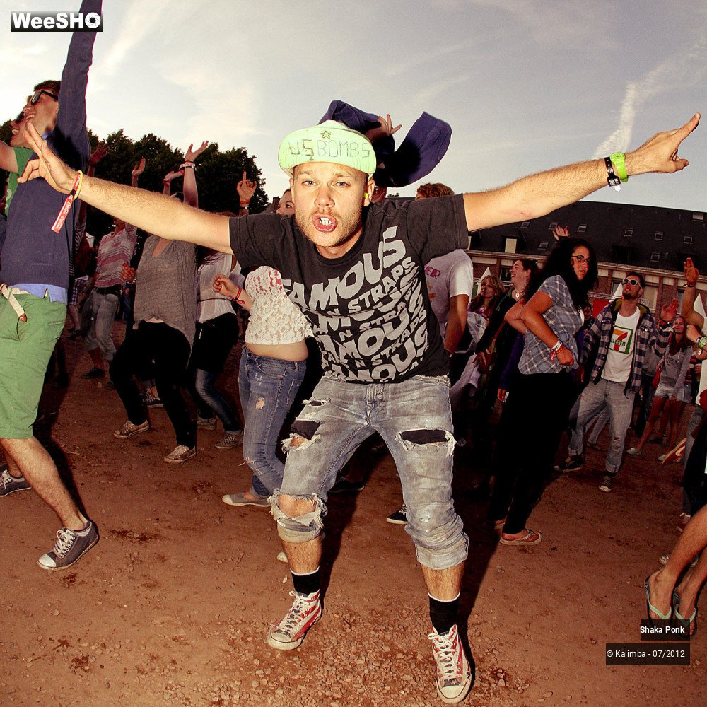 28/35 photos du spectacle Shaka Ponk