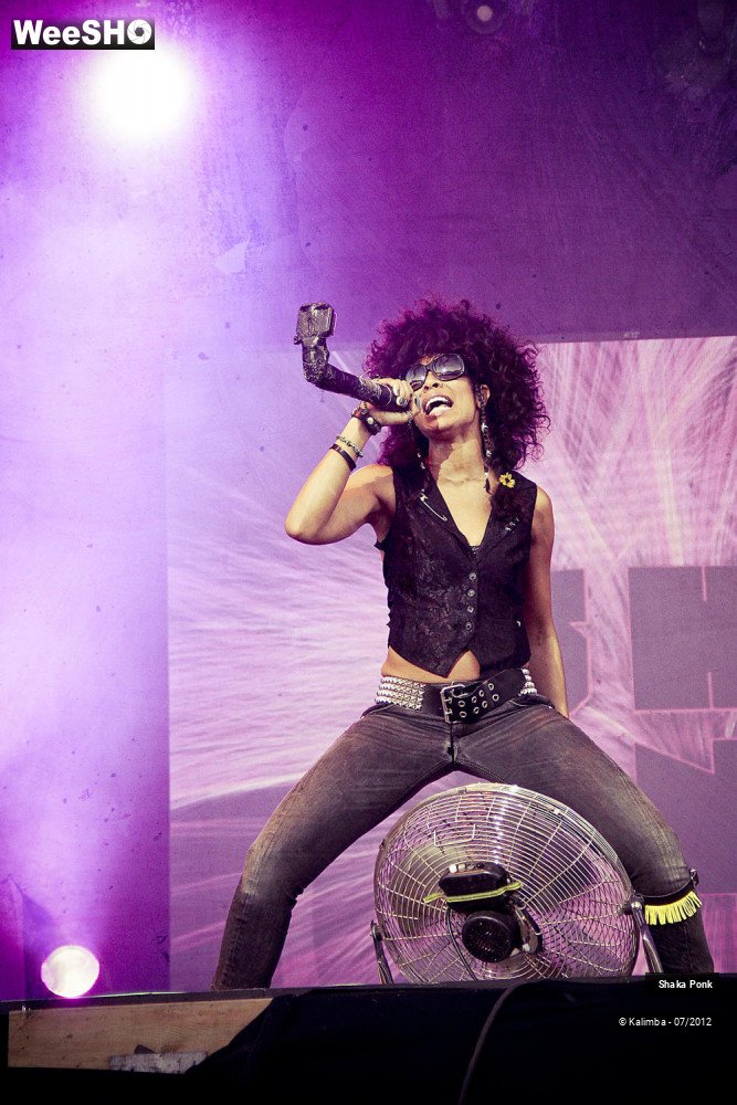 30/35 photos du spectacle Shaka Ponk