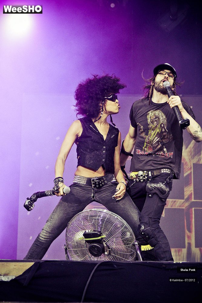 32/35 photos du spectacle Shaka Ponk