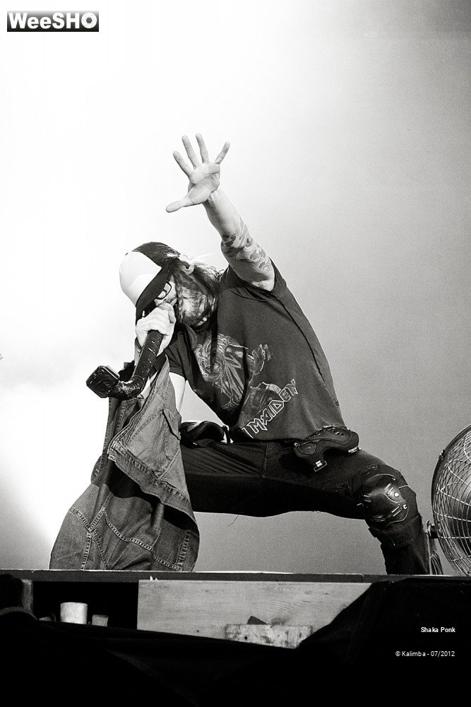 34/35 photos du spectacle Shaka Ponk