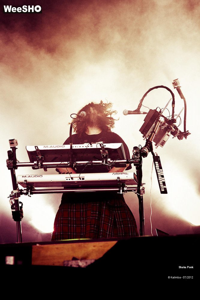 35/35 photos du spectacle Shaka Ponk