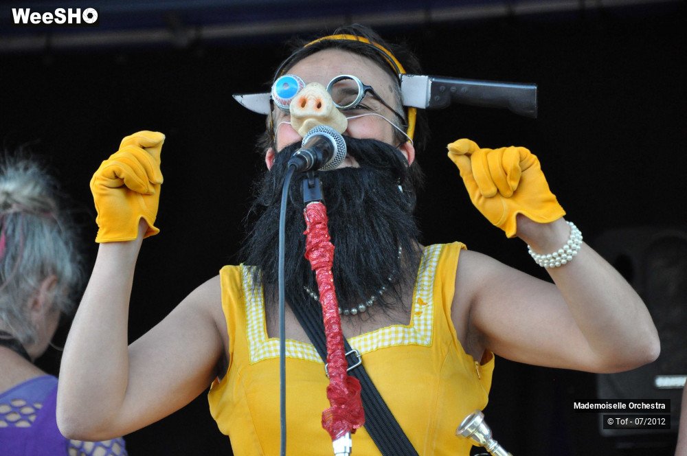 7/50 photos du spectacle Melle Orchestra