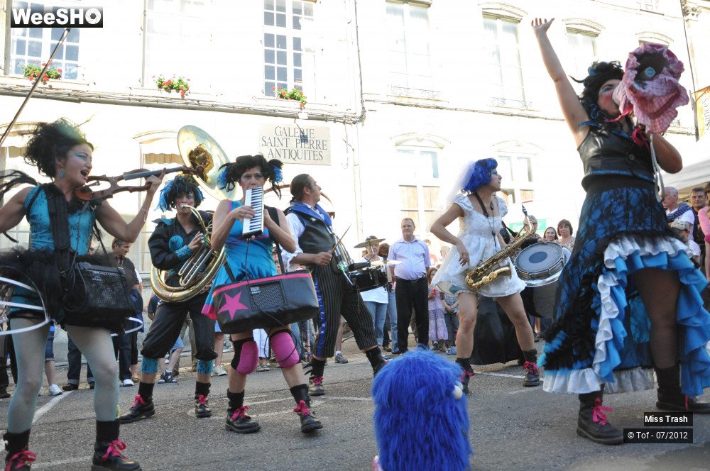 13/46 photos du spectacle Miss Trash