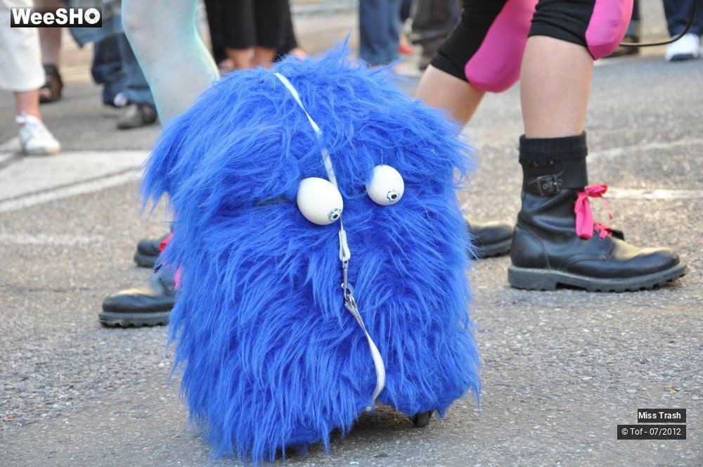 17/46 photos du spectacle Miss Trash