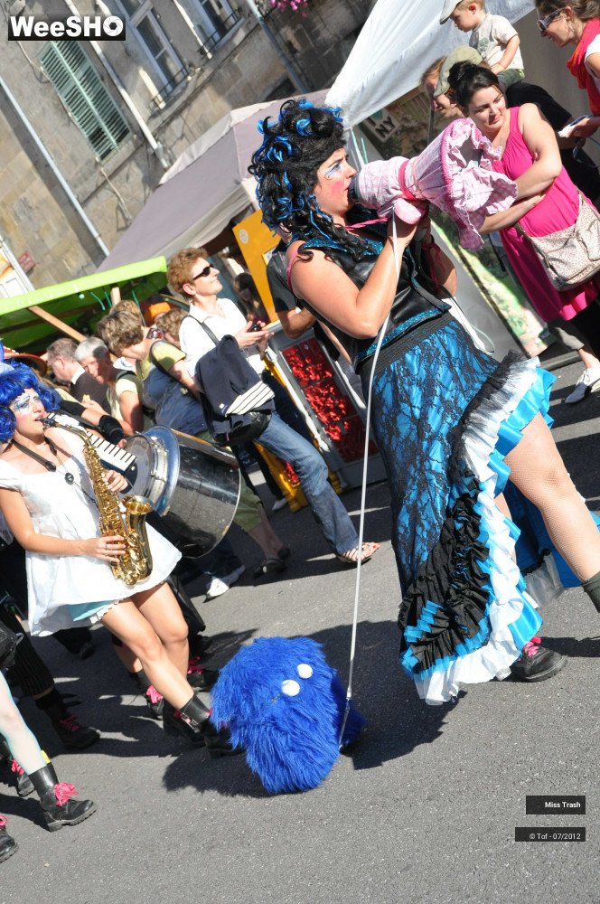 33/46 photos du spectacle Miss Trash