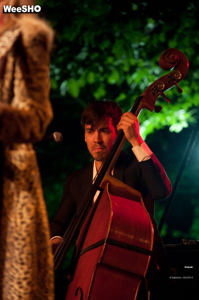 4/40 photos du spectacle Nadeah