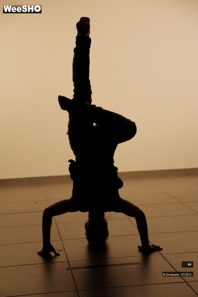 30/50 photos du spectacle Roots & Routes Summerschool 2