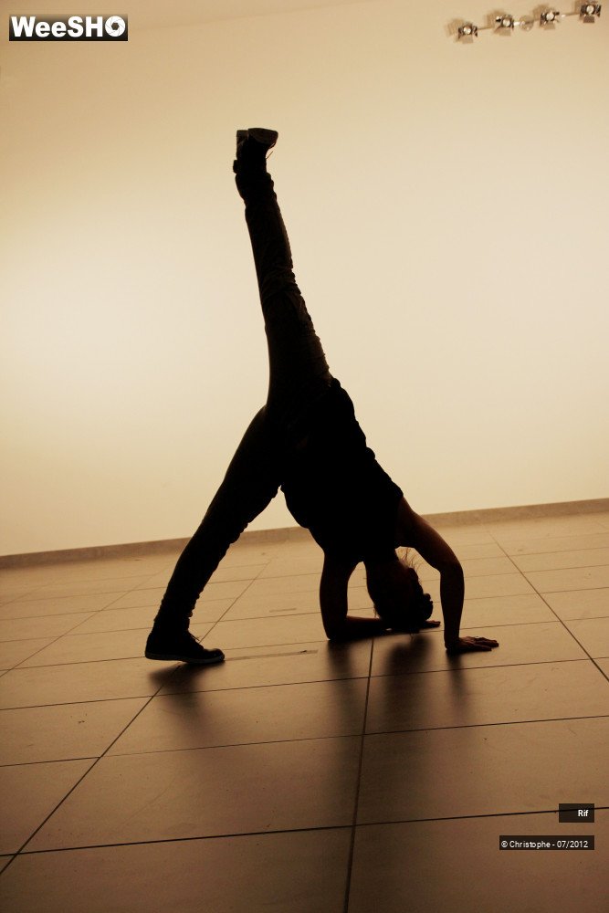 31/50 photos du spectacle Roots & Routes Summerschool 2