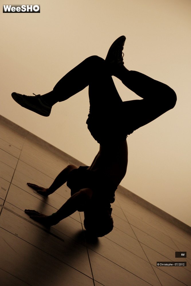 33/50 photos du spectacle Roots & Routes Summerschool 2