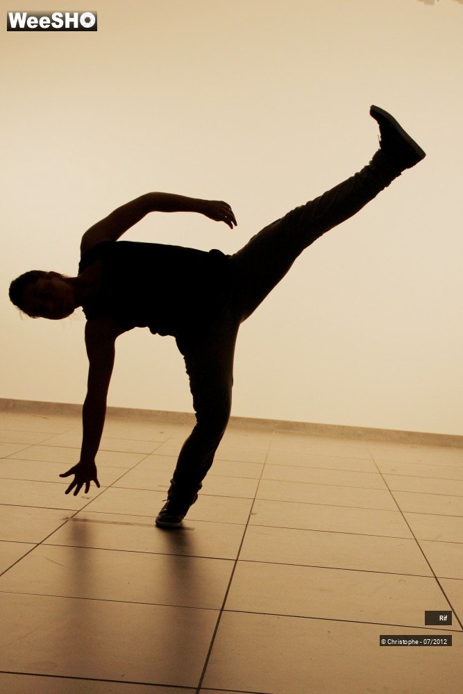 44/50 photos du spectacle Roots & Routes Summerschool 2